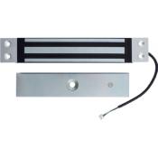 Ventouse électromagnétique encastrable - 300 kg - IP54 - 12/24 VDC