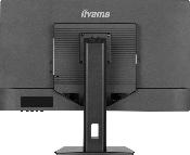 Écran 32" QHD réglable en hauteur avec dalle IPS - IIYAMA